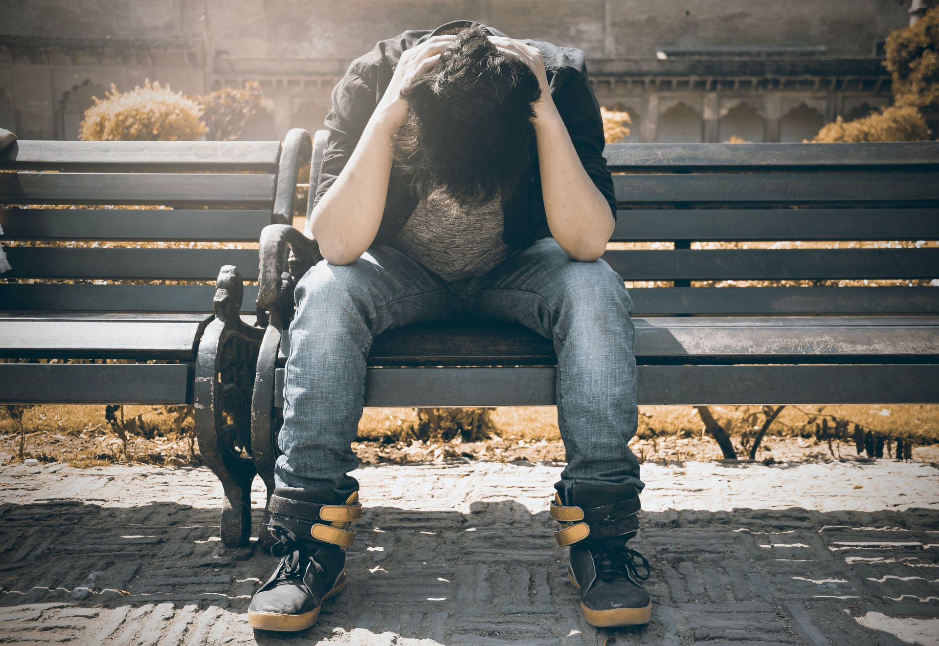 Importance of ashwagandha for anxiety (image sourced via Pexels / Photo by inzmam)